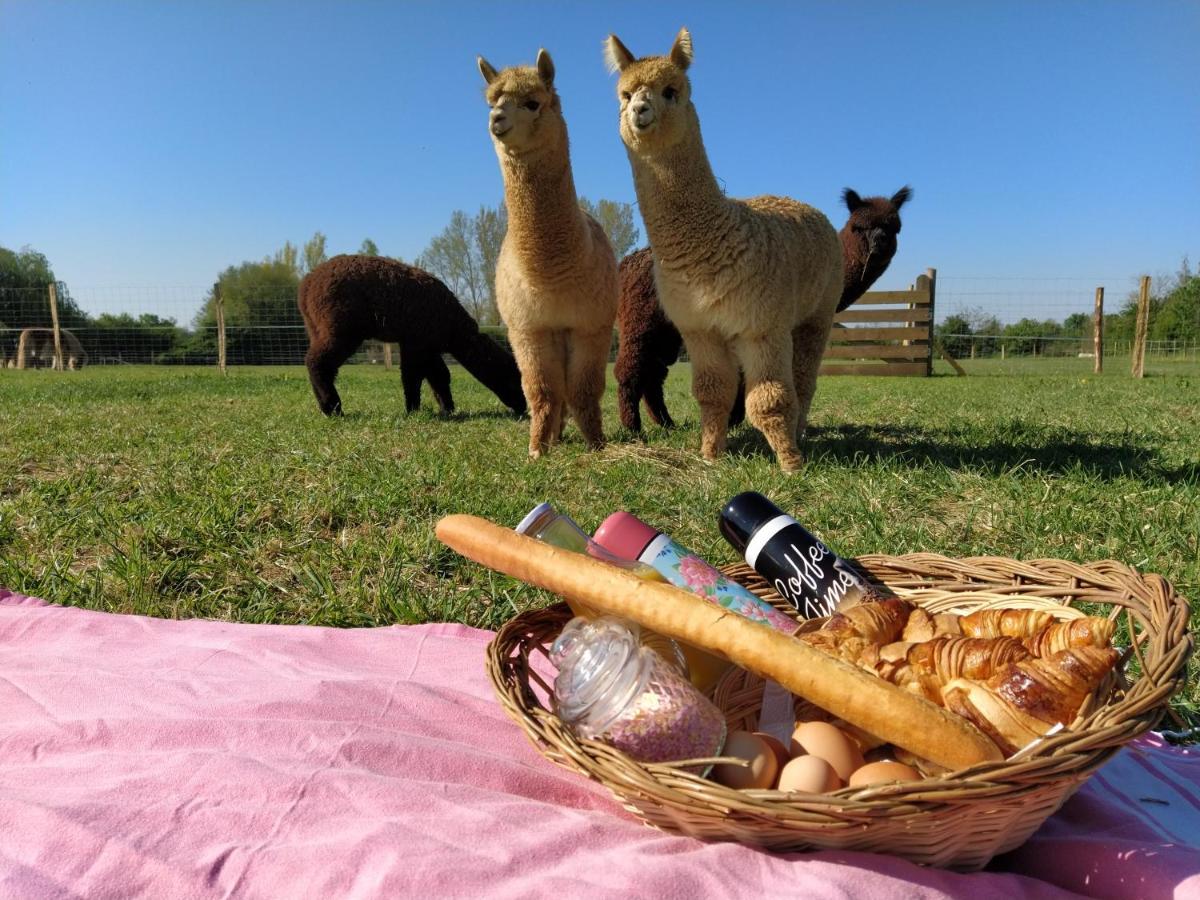 Bed and Breakfast Domaine Ramonjavel, glamping&alpaca's à Fongrave Extérieur photo