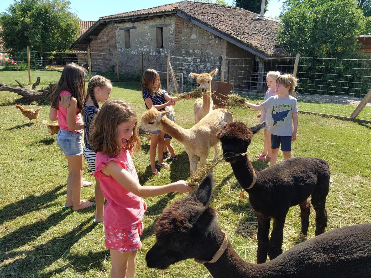 Bed and Breakfast Domaine Ramonjavel, glamping&alpaca's à Fongrave Extérieur photo